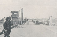 Maas-Waal Canal Bridge