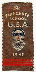 541st Parachute Infantry Regiment Shoulder Patch